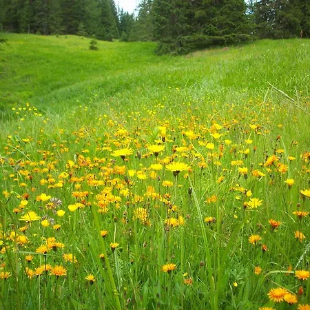 Appartamento Haus Gabriele *