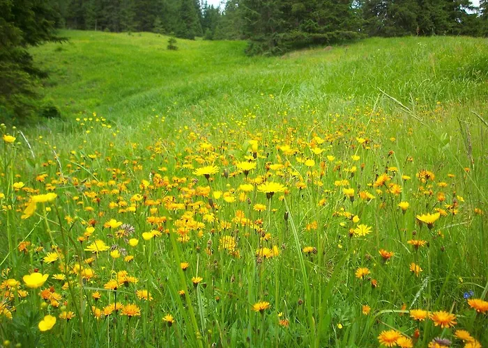 Apartman Haus Gabriele *